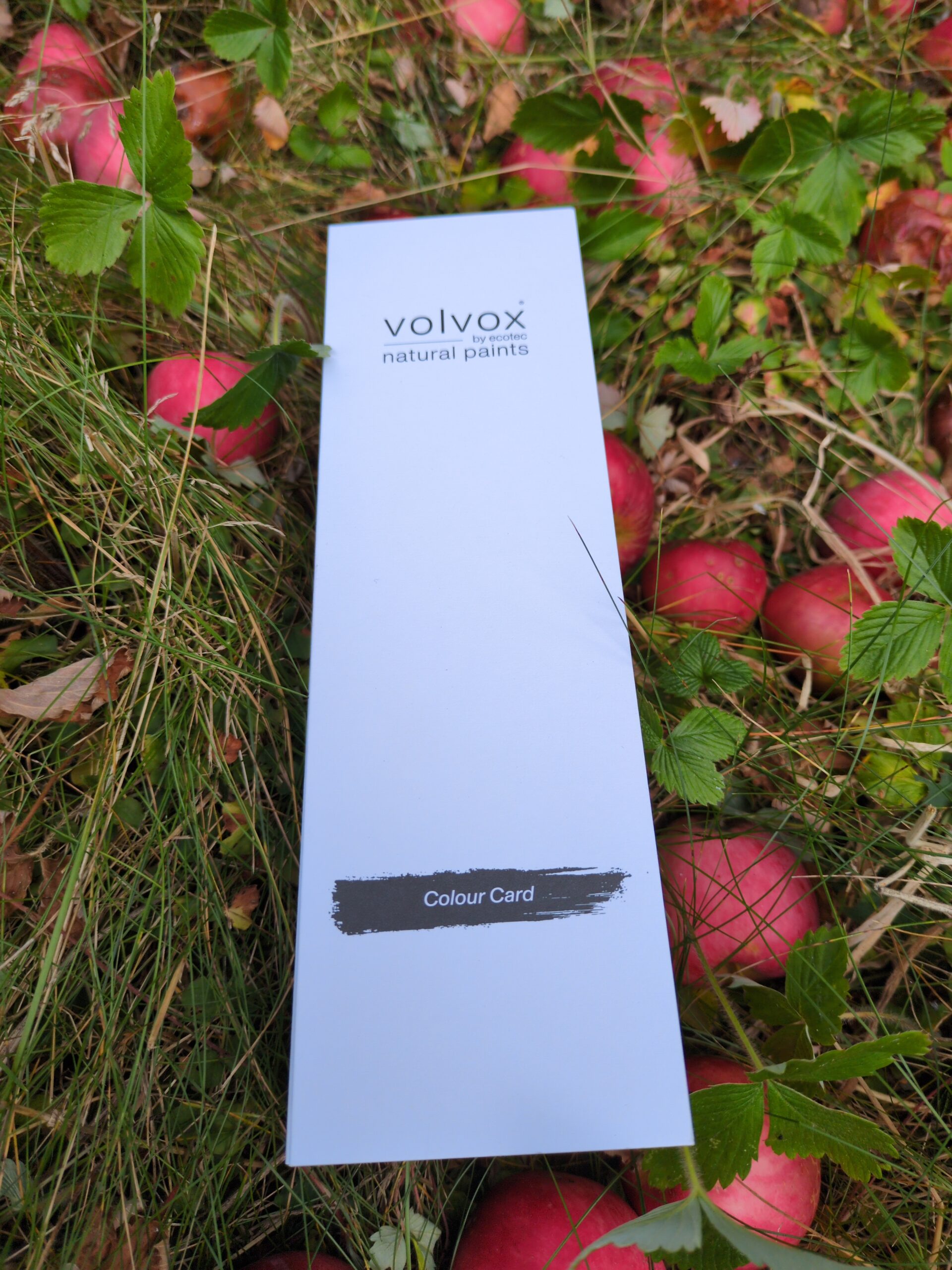 Farvekort - Billede 2